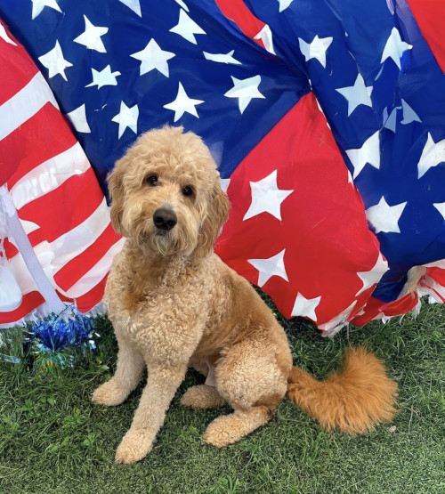 4th of July Paw-triotic Party! .