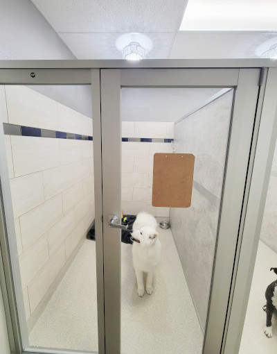 Luxury Villa Luxury Villa