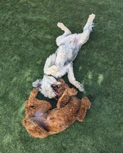 10 Day Package 10 Day Package