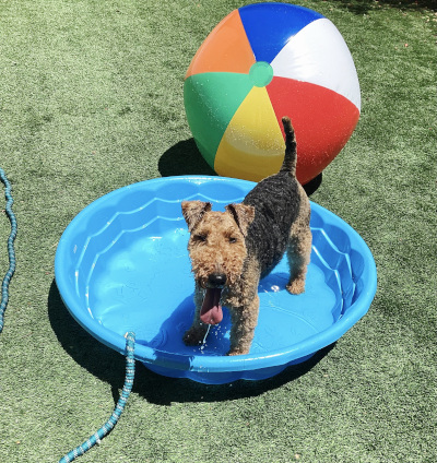 Single Day Single Day