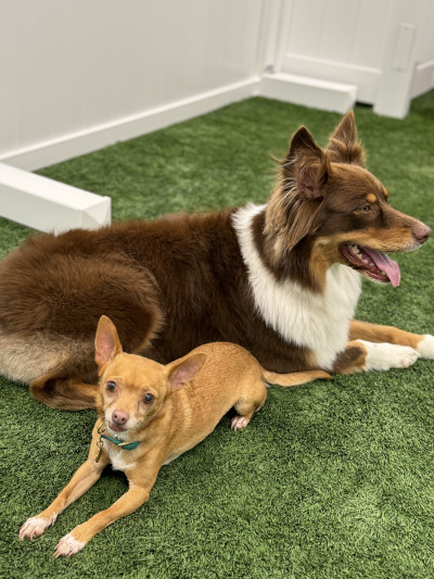 20 Day Package 20 Day Package