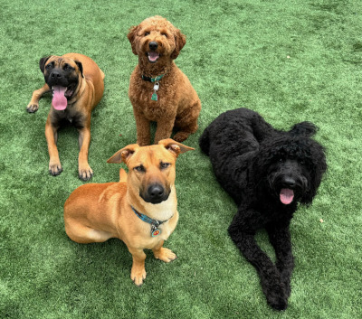 30 Day Package 30 Day Package