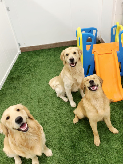 Single Half Day Single Half Day